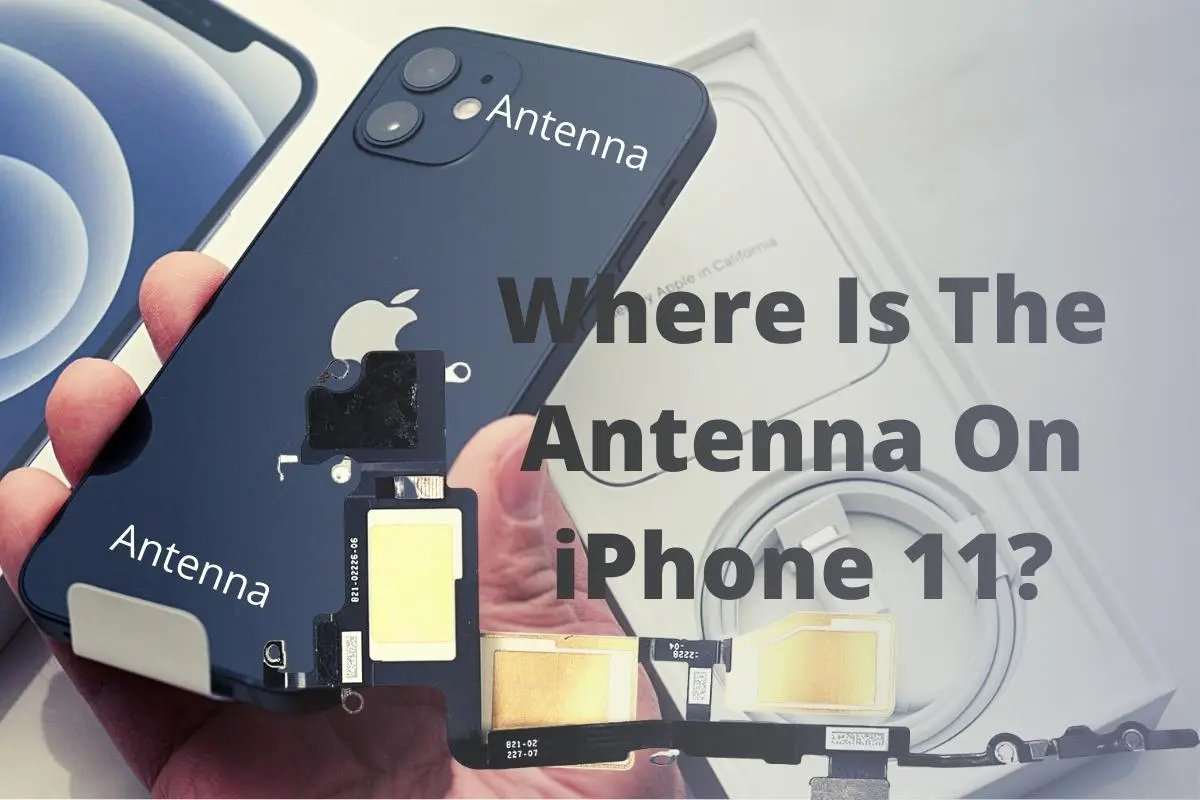 Where Is The Antenna On iPhone 11