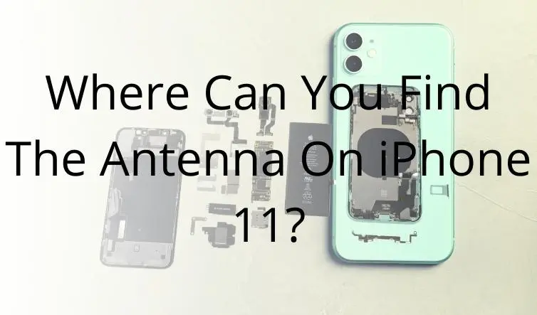 Where Can You Find The Antenna On iPhone 11