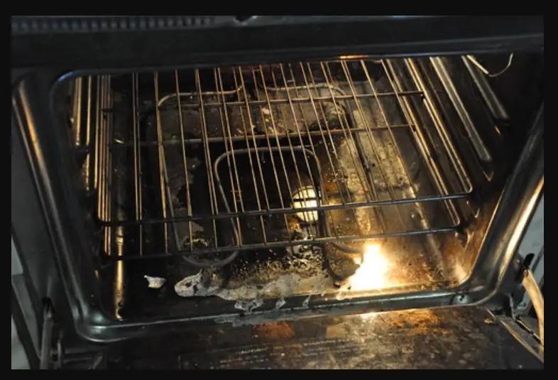 Oven Coils Spark